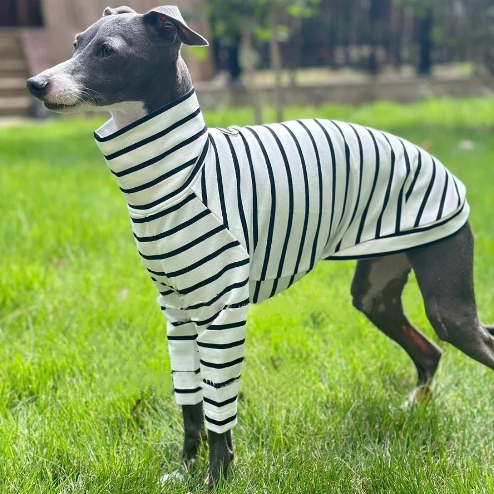 Striped Cotton Dog T-Shirt