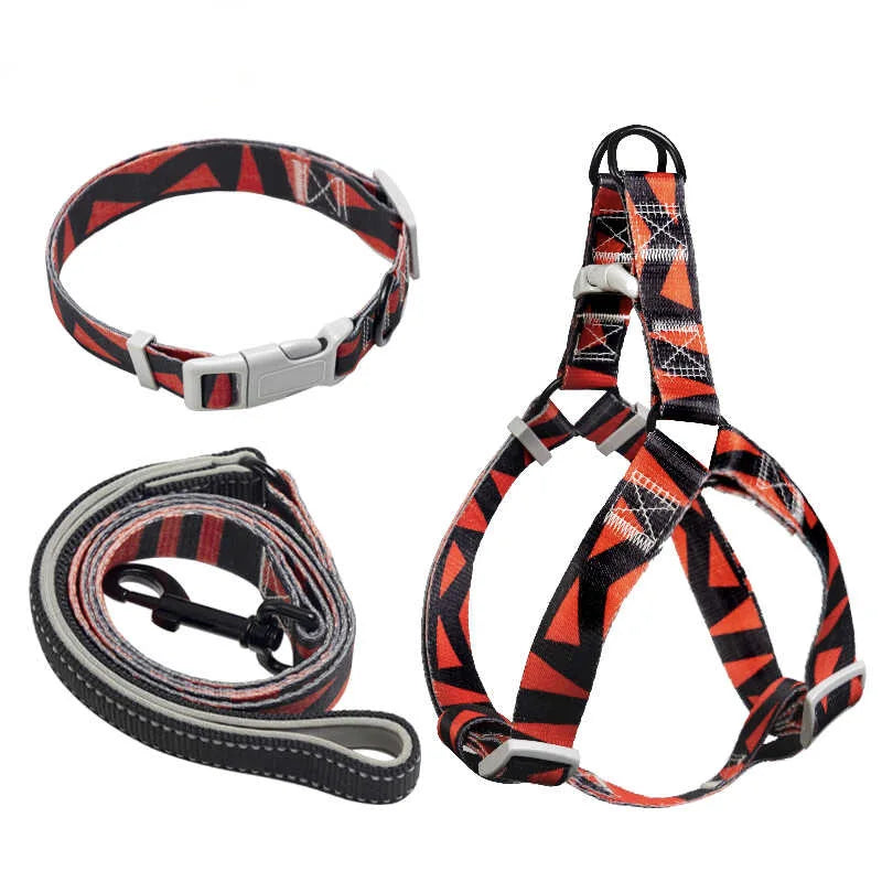 Abstract Dog Harness Set