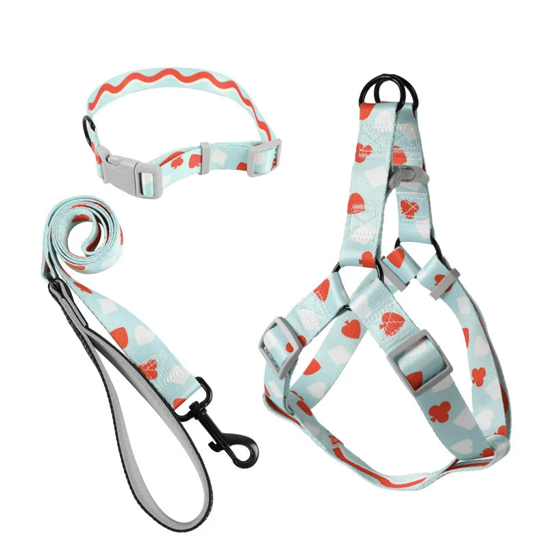 Abstract Dog Harness Set