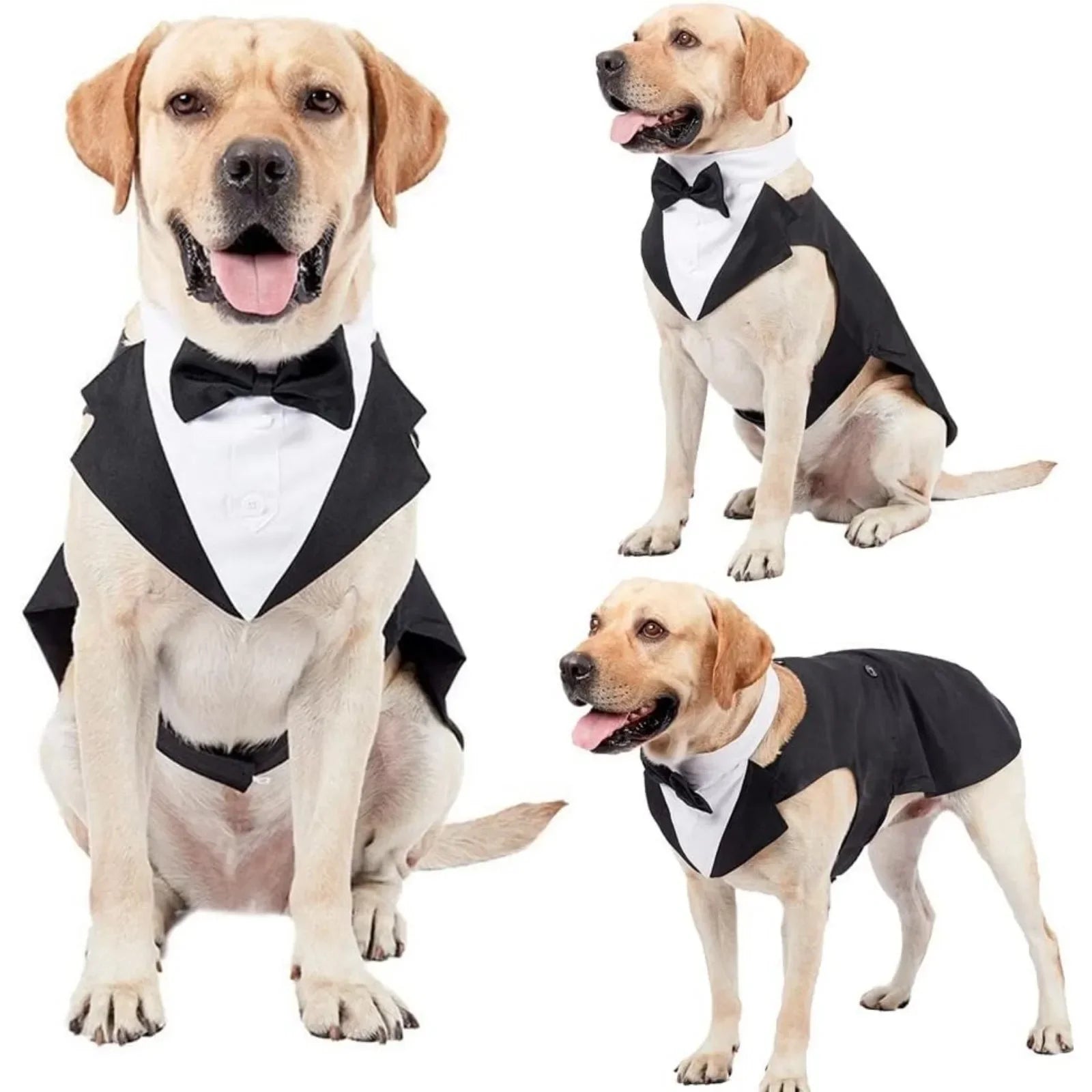 Large Dog Tuxedo Costume