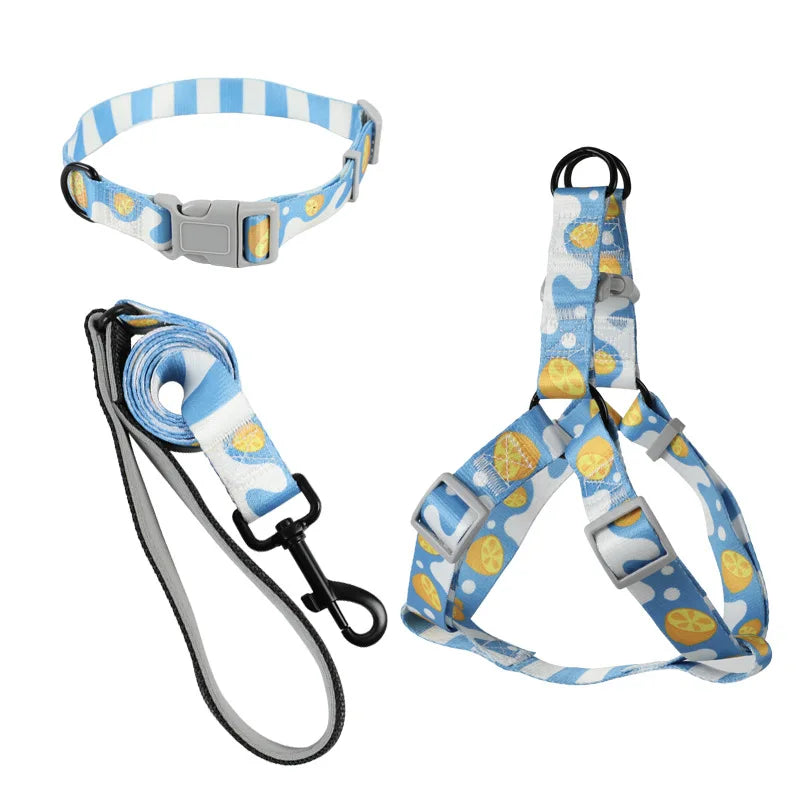 Abstract Dog Harness Set
