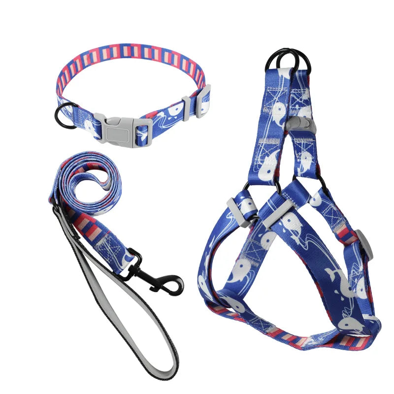 Abstract Dog Harness Set
