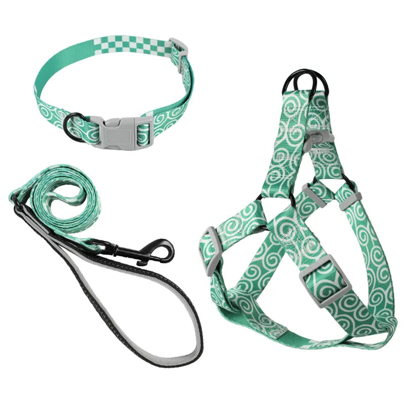 Abstract Dog Harness Set