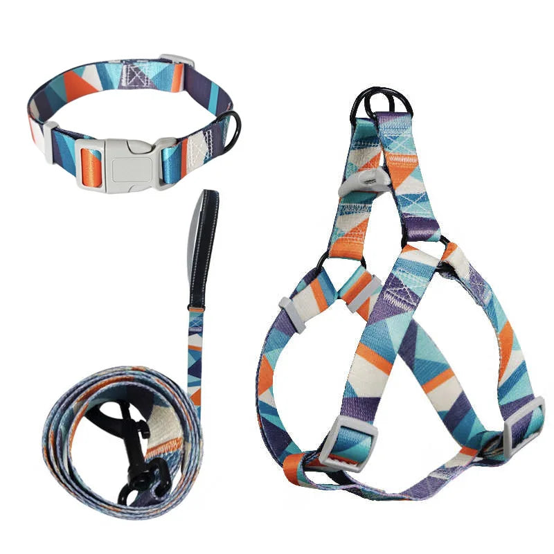 Abstract Dog Harness Set