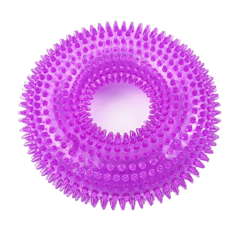Squeaky Chew Tooth Toy